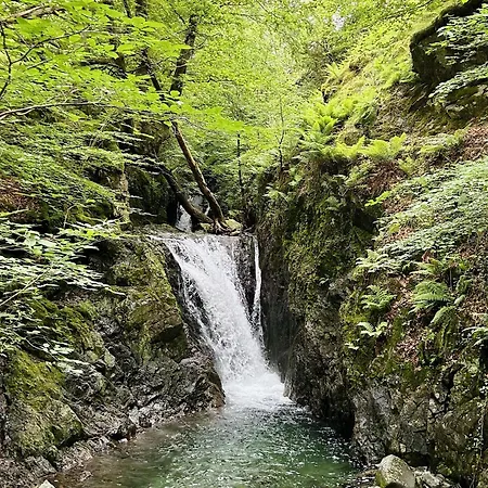 Holiday home Willow Lodge, District Shepherd Hut With Hot Tub *