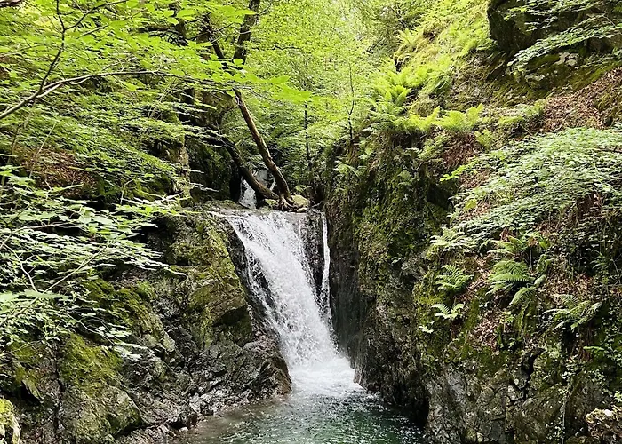 Holiday home Willow Lodge, District Shepherd Hut With Hot Tub *